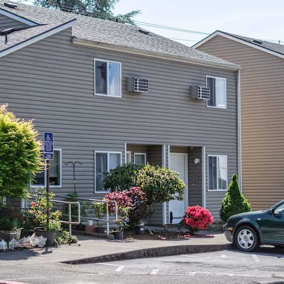 property landscaping and building