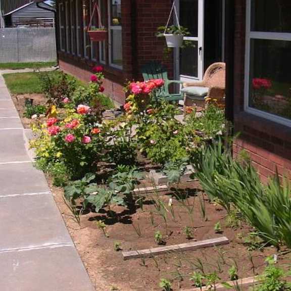 property landscaping