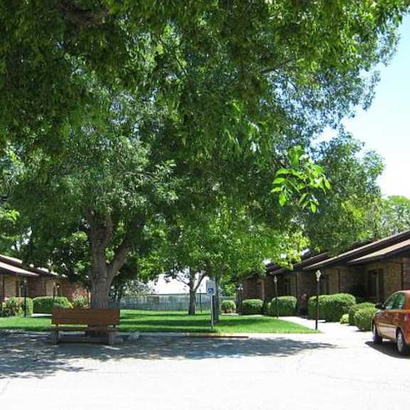 mature trees on the property
