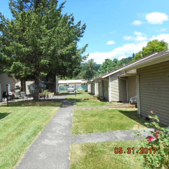 mature trees on property