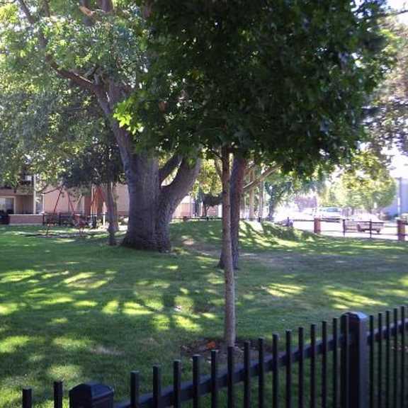 lawn with mature trees