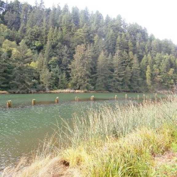 river