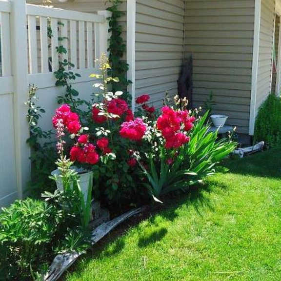 flower beds