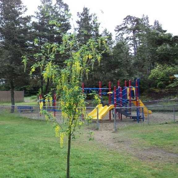 playground area
