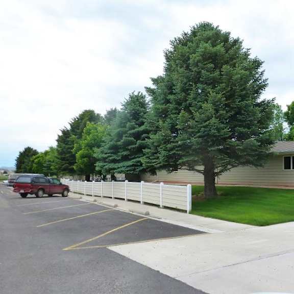 mature trees at property