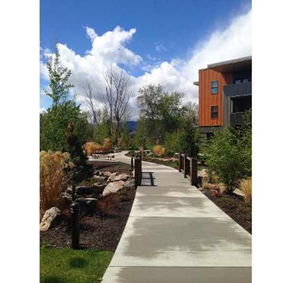 sidewalk through landscaping