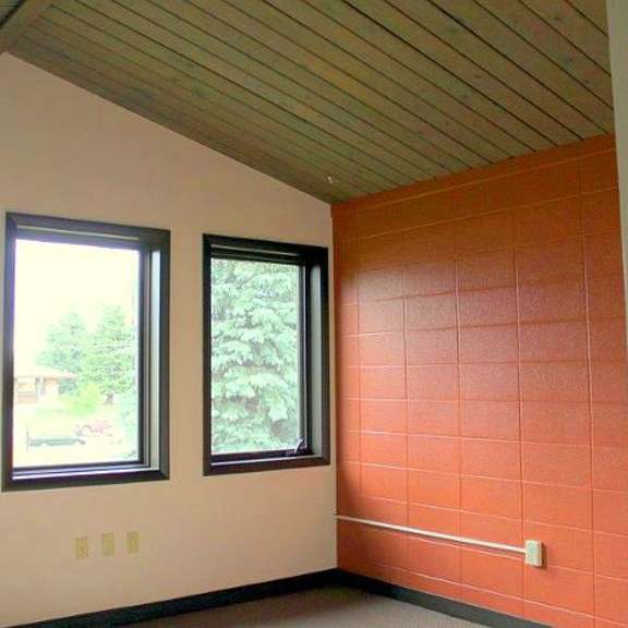 interior roof and windows