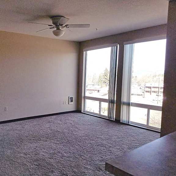 livingroom with beautiful windows