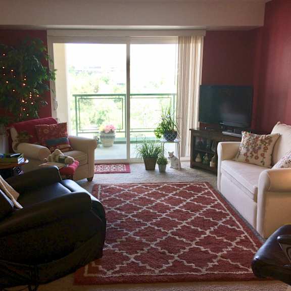 1 bedroom apartment