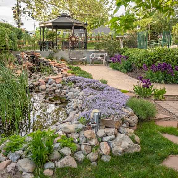 friendship manor's garden