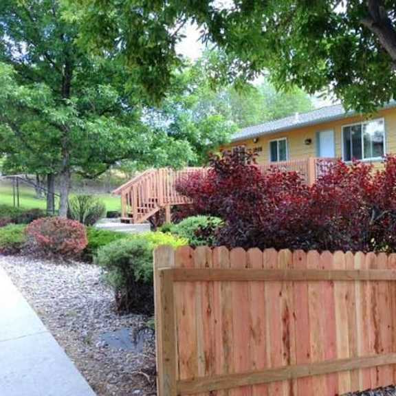 landscaping and fence