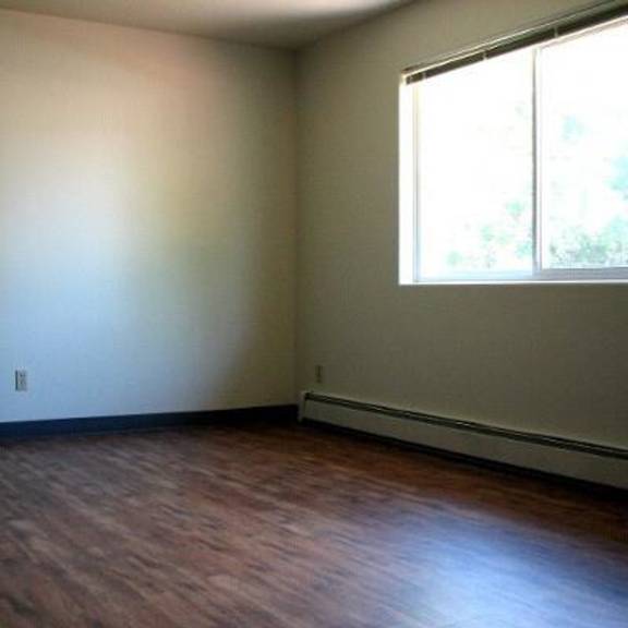 hardwood floor and window