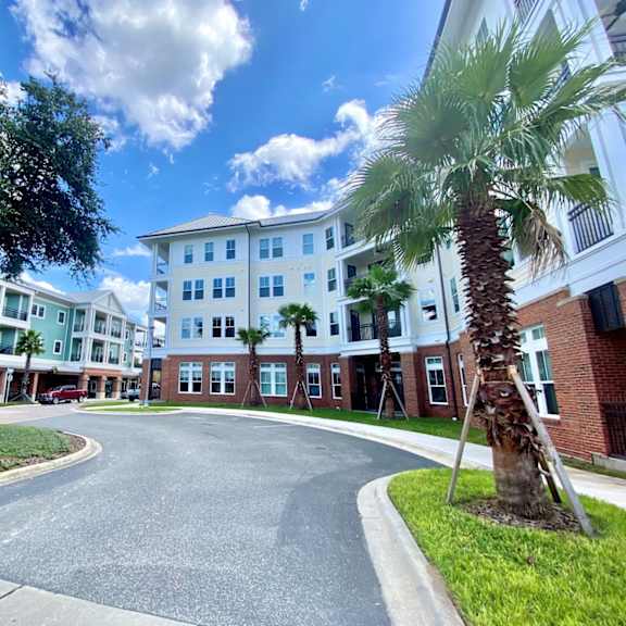 a palm-tree lined street leading to the flats at tioga town center's 4-story apartment buildings with well-maintained grounds, grass, and bushes.