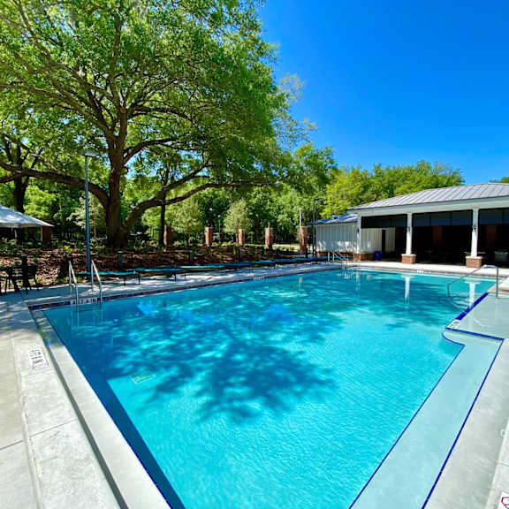 a resort-style swimming pool with a table, chairs, and umbrella near a large tree and covered outdoor lounge.