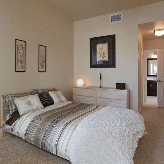 a bedroom with plush carpet flooring, high ceilings, natural light, and access to a private bathroom.