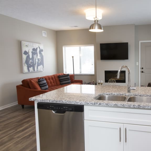 Thumbnail 4 of 13 A kitchen with a granite countertop and a stainless steel dishwasher.
