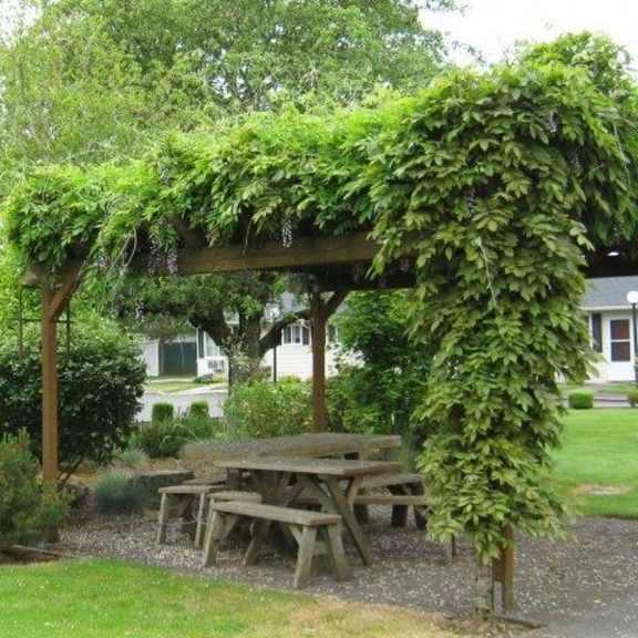 outdoor seating