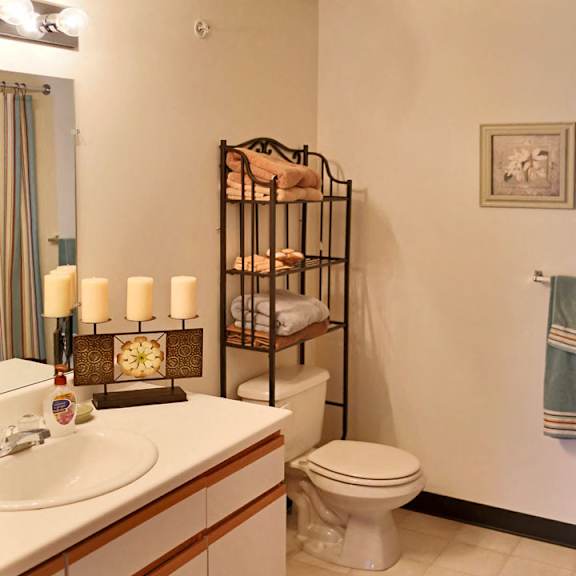 bathroom  at breckenridge estates apartments in lawrenceburg, ky