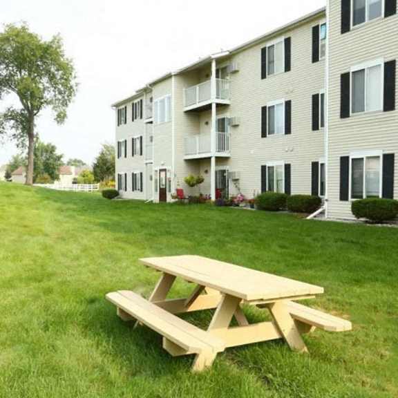 bbq and picnic