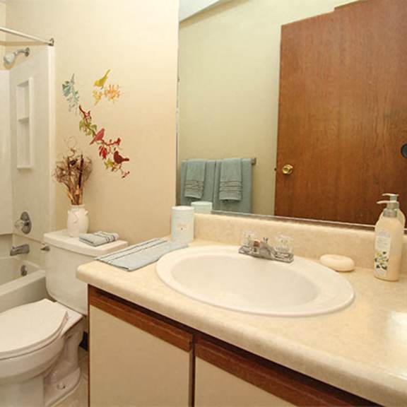 bathroomat mcclellan estates iii apartments , marshall, 49068