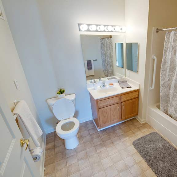 tiled bathroom with shower grab bars