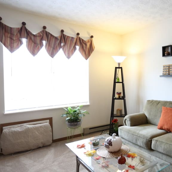 image of a living room with couch, coffee table, and lamp