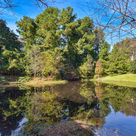 scenic view at beacon ridge apartments, prg real estate management, greenville, sc, 29615