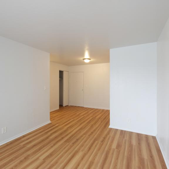 living room with plank vinyl hardwood floors