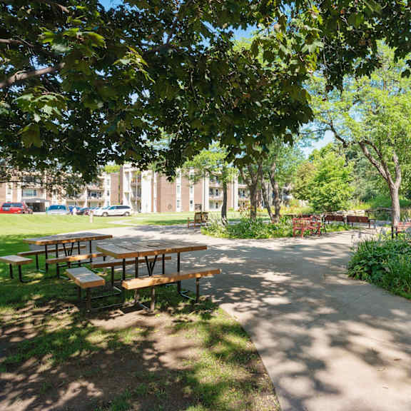 a sunny day at the park with picnic tables and green trees at humboldt senior 55+ apartments, saint paul, 55107