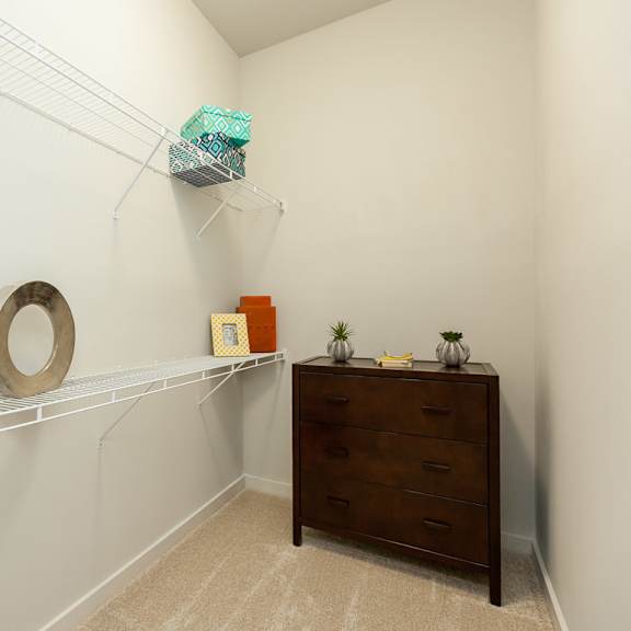 walk in closet at proximity apartments, charleston, sc, 29414