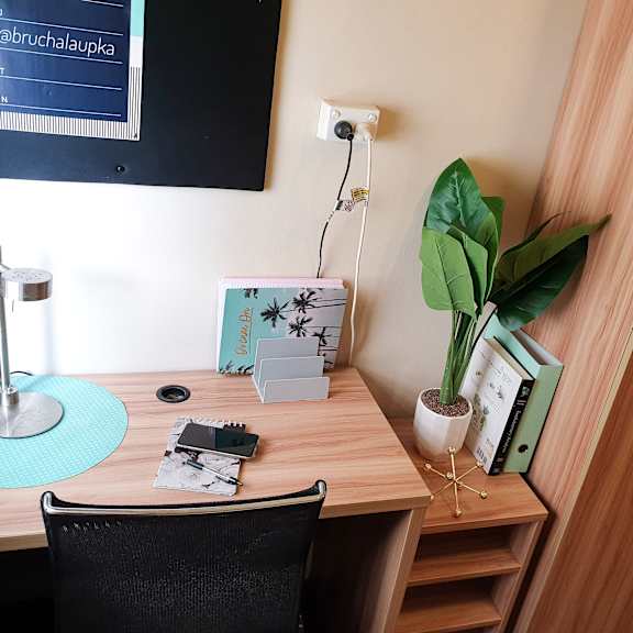 a desk with a plant and a chair in a room