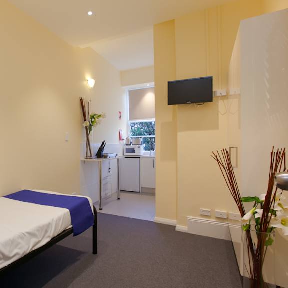 a bedroom with a bed and a desk and a plant