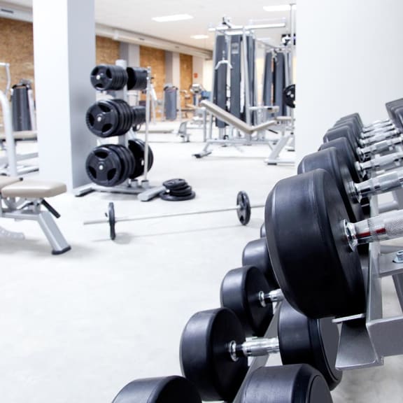 exercising equipment in gym