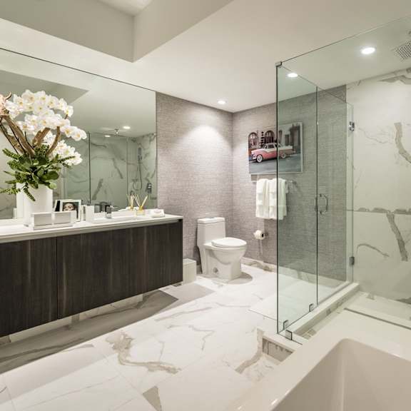 a bathroom with a walk-in shower and a toilet.