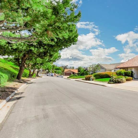 a street view of a residential area with houses on both sides.