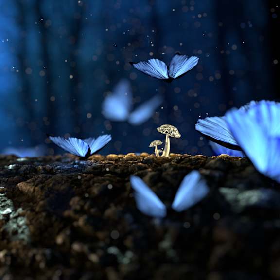 a group of blue butterflies flying in the dark