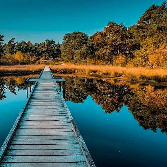 beautiful bridge