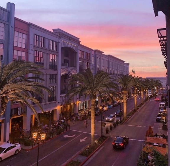 A street view of a city with palm trees and buildings.