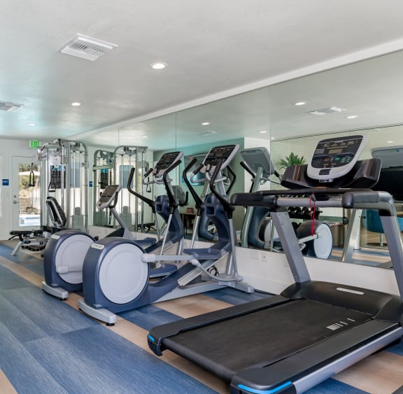 Fitness Center with Free Weights at Softwind Point, California