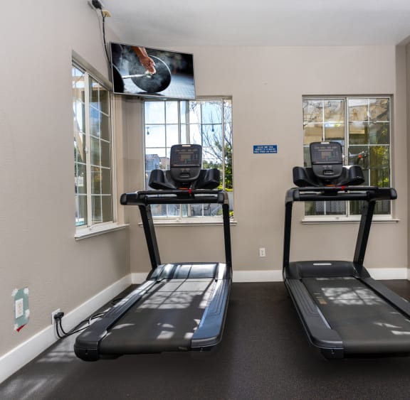 two treadmills in an indoor gym area with windows