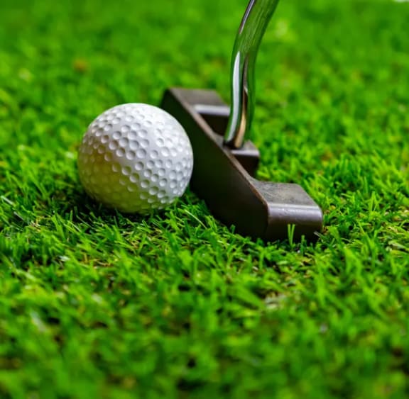 a golf ball next to a club on the grass