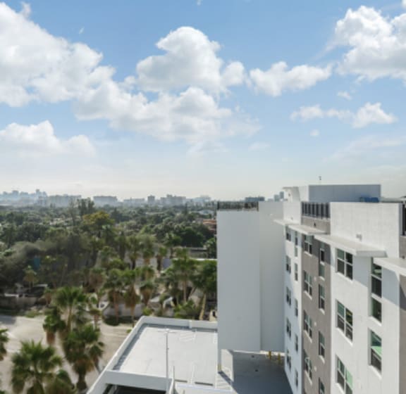 View at Allapattah Trace Apartments Miami FL