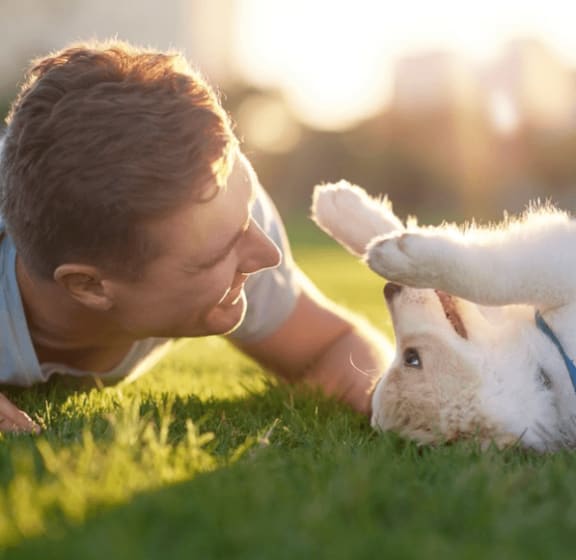 a young man laying in the grass petting a dog at Keller Oaks, Carrollton, TX 75006