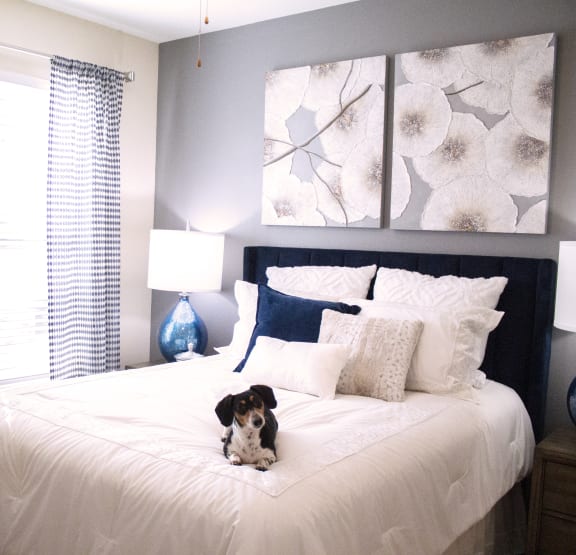 a dog laying on a bed in a bedroom