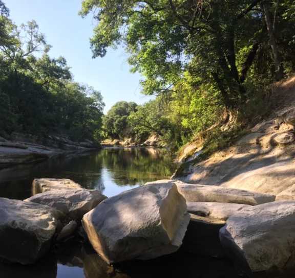 a river with rocks and trees on the side of it