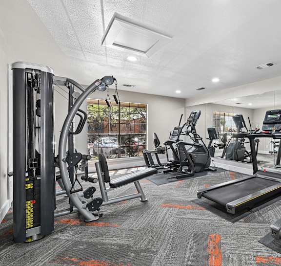 A gym with treadmills, weights, and exercise machines.