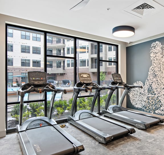 the apartments at masse corner 205 fitness room  at The Griffin Royal Oak, Royal Oak, Michigan