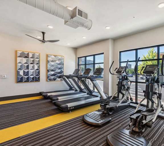 the apartments at masse corner 205 fitness room