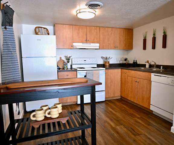 Apartment kitchen at Coral Gardens.