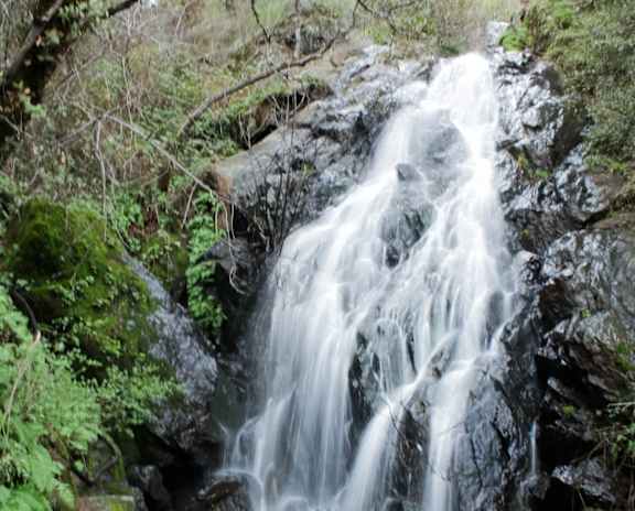 A small waterfall flows over a rocky outcrop in a lush green forest.
